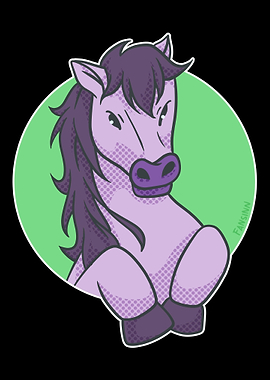 Horse pony riding horsesho