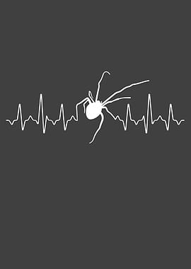 Spider Heartbeat