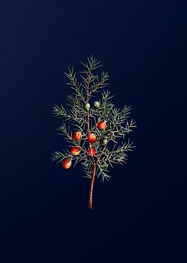 Floral Illustration Blue