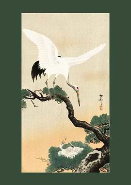 Japanese crane bird