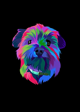 Colorful yorkie dog