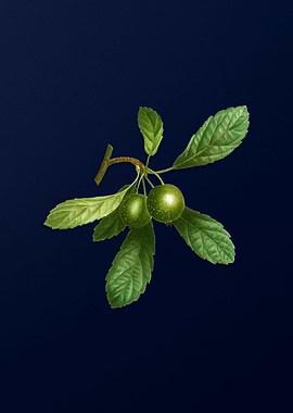 Vintage Flower Deep Blue