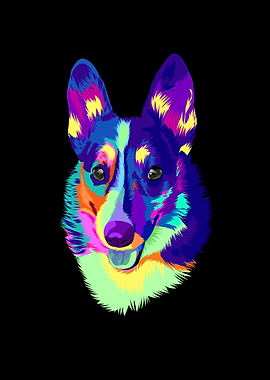 Colorful corgi dog