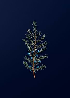 Floral Illustration Blue