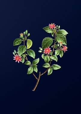 Vintage Flower Deep Blue