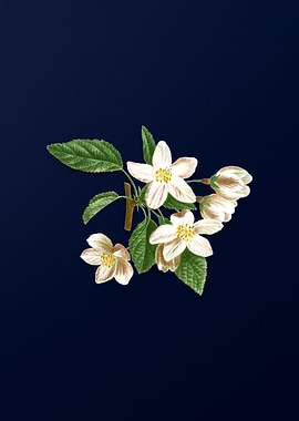 Vintage Flowers Dark Blue