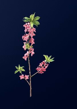 Vintage Flowers Dark Blue