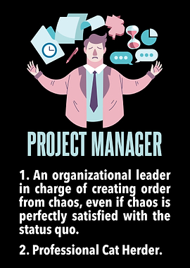 Funny Project Manager Defi