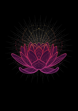 Lotus Flower Meditation