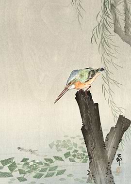 Kingfisher on a tree stump