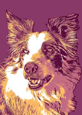 Australian Cattle Dog