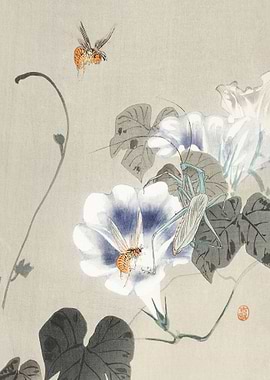 Insects near bindweed