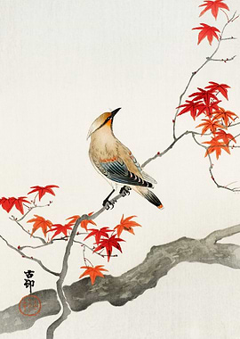 Japanese plague bird