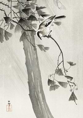 Long tailed tit in storm