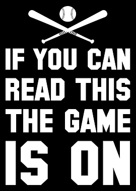 Baseball Fan Decoration