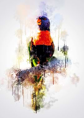 Rainbow lorikeet