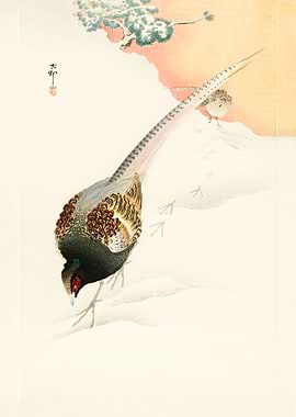 Pheasant couple