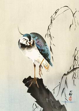 Lapwing on tree stump