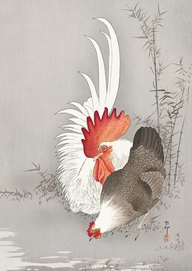 Rooster and chicken