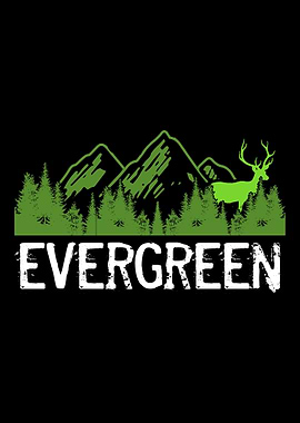 Evergreen