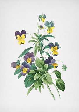 Vintage Johnny Jump Up