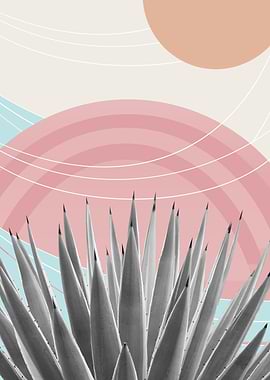 Agave Desert Oasis 4