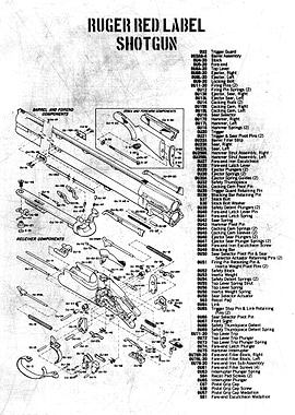 ruger red label