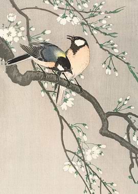 Tits on Cherry Branch