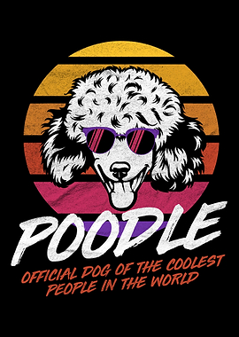 Coolest Dog Poodle