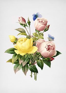 Vintage Variety of Roses