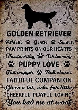 Golden Retriever