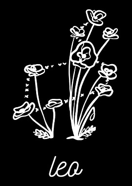Flower Constellation Leo L