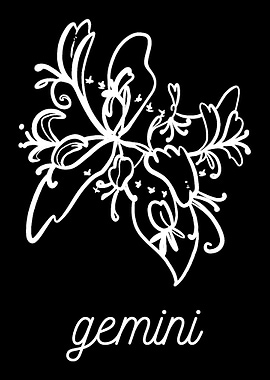 Flower Constellation Gemin