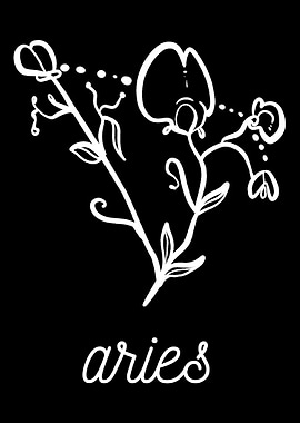 Flower Constellation Aries