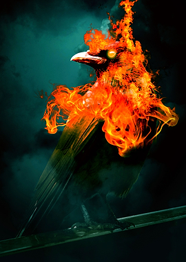 Fire Crow