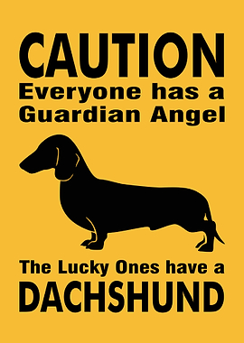 Caution