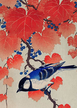 Blue Bird Traditional Japa
