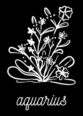 Flower Constellation Aquar