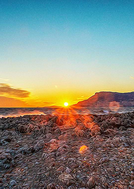 Bay of Monaco at sunset