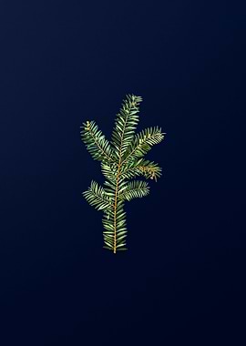 Vintage Botanical on Blue