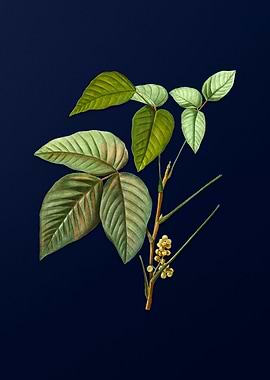 Vintage Botanical on Blue