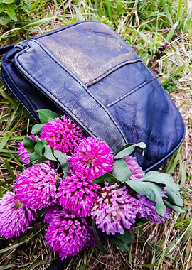Clover bag