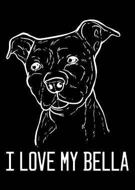 American Pitbull Terrier B