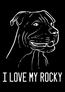 American Pitbull Terrier R