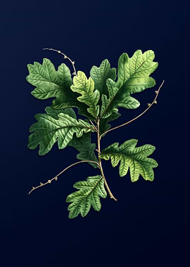 Vintage Botanical on Blue