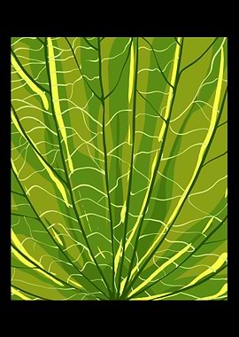 Leaf Beautiful Nature Love