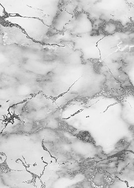 Silver Marble 01