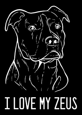 American Pitbull Terrier Z