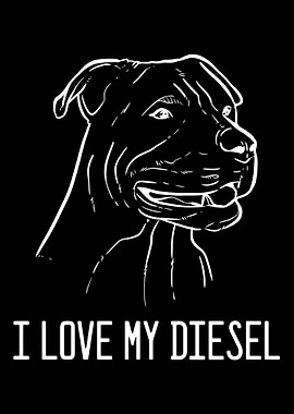 American Pitbull Terrier D