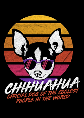 Coolest Dog Chihuahua